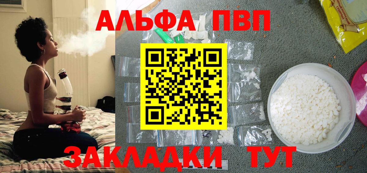 Альфа ПВП СК КРИС Урус-Мартан